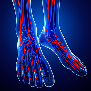 Ankle Pain - Achilles Foot Clinic